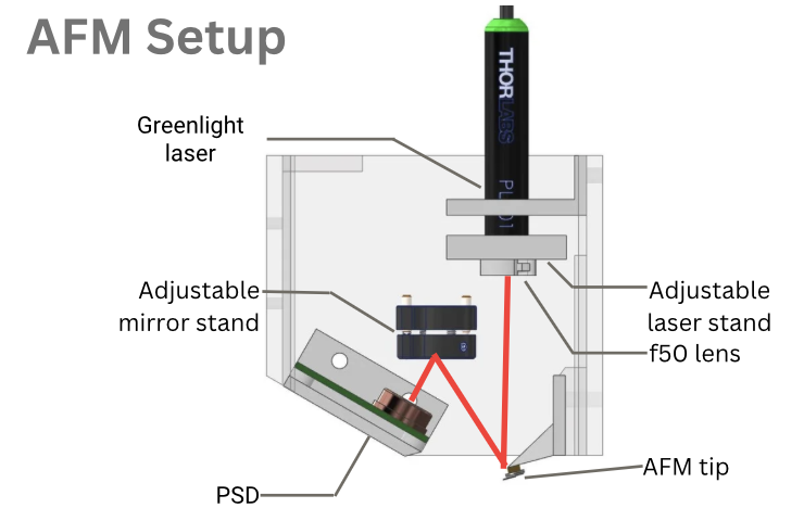 AFM setup schematic: laser, mirrors, PSD, tip