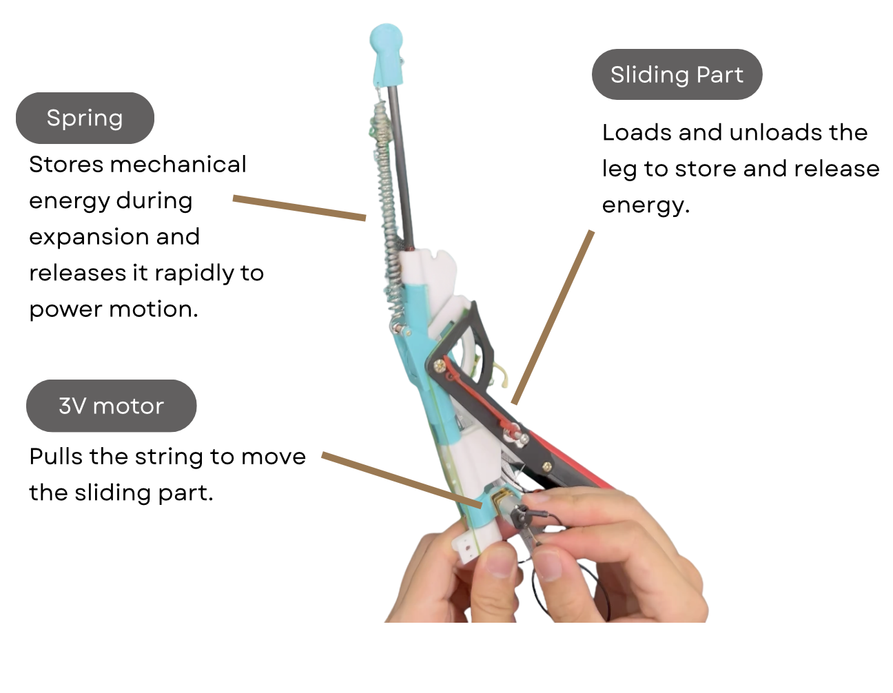 Mechanism placeholder