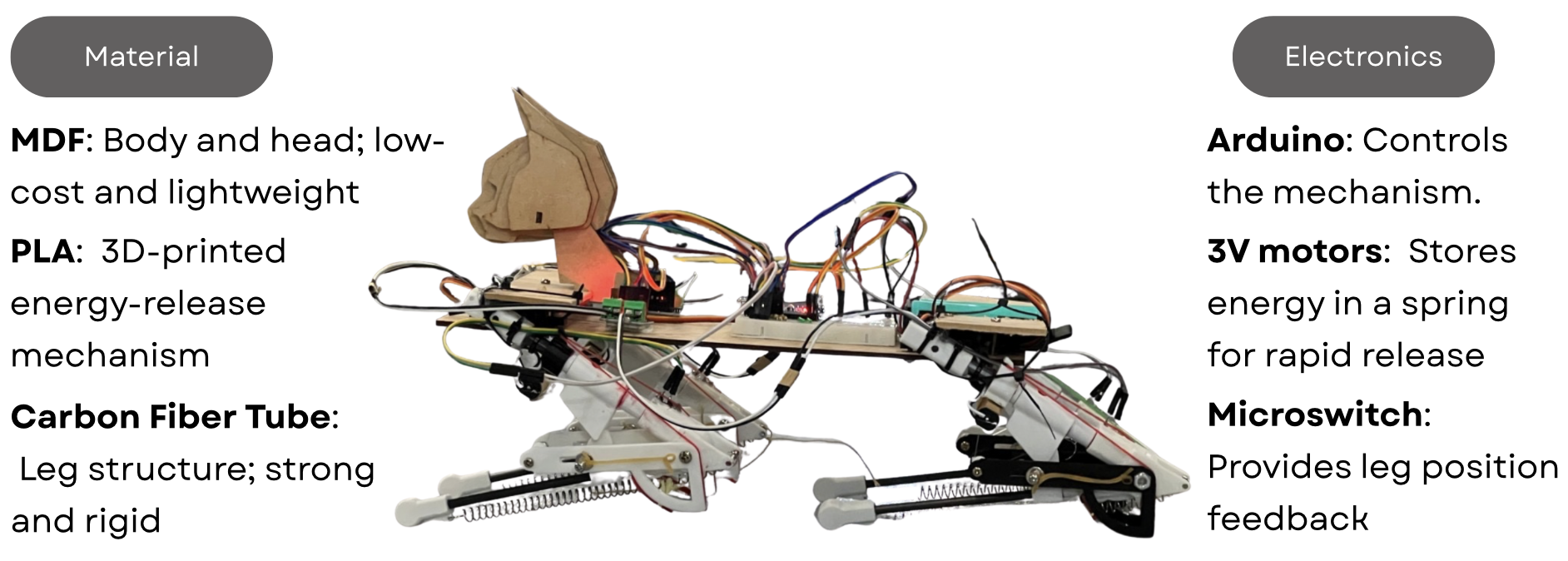 Robot Cat Overview
